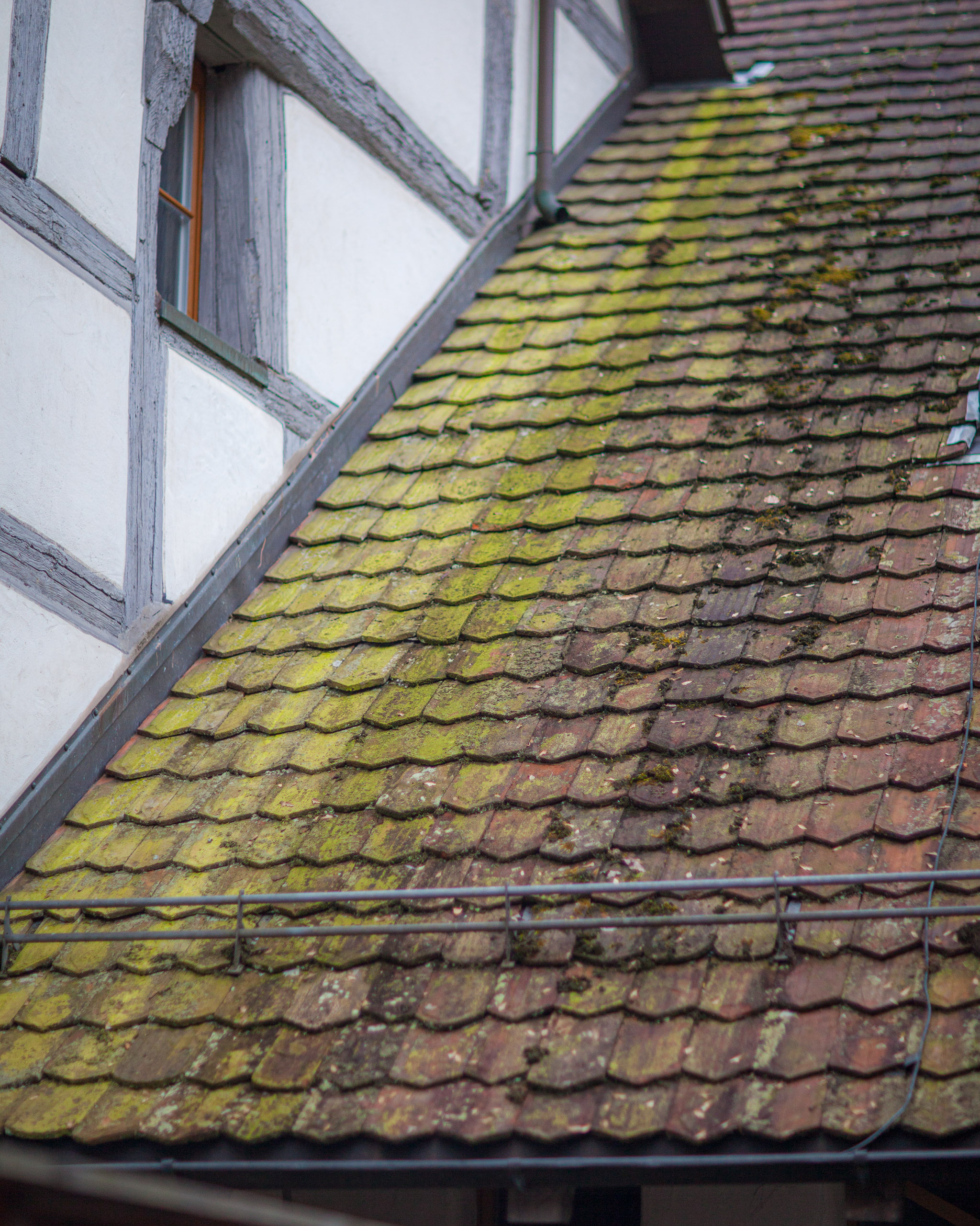 20120225074840 IMG 3421